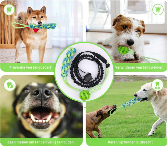 TugDent™ Tug Toy for your dog 